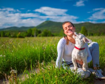 Top Pet-Friendly Communities for Dog Owners in the US