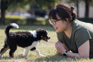 三個測驗判斷幼犬性格，新手領養必看