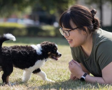 三個測驗判斷幼犬性格，新手領養必看